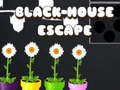 Spill Black House Escape