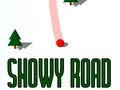 Spill Snowy Road