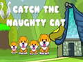 Spill Catch the naughty cat
