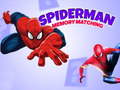 Spill Spiderman Memory Matching