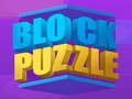 Spill Block Puzzle 