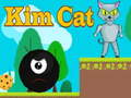 Spill Kim Cat