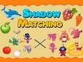 Spill Shadow Matching