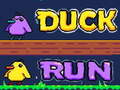 Spill Duck Run