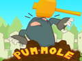 Spill Pum-Mole