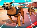 Spill Crazy Dog Race