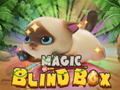 Spill Magic Blind Box