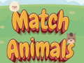 Spill Match Animals