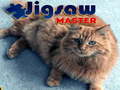 Spill Jigsaw Master 