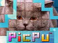 Spill PicPu Cat 