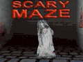 Spill Scary Maze 3D