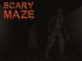 Spill Scary Maze