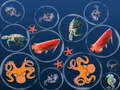 Spill Ocean Fish Merge