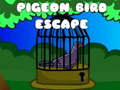 Spill Pigeon Bird Escape