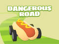 Spill Dangerous Roads