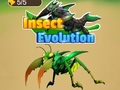 Spill Insect Evolution