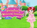 Spill Princess House Cleanup