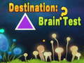 Spill Destination: Brain Test