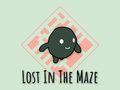 Spill Lost In The Maze