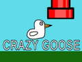 Spill Crazy Goose