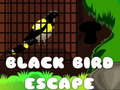 Spill Black Bird Escape