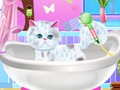 Spill Excellent Pet Groomer