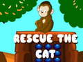 Spill Rescue The Cat