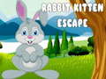 Spill Rabbit Kitten Escape