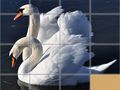 Spill Animals Slide Puzzle