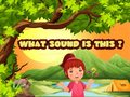 Spill What Sound Is This?