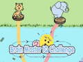 Spill Brain Master IQ Challenge