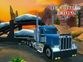 Spill 18 Wheeler Driving Sim