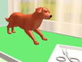 Spill Pet Care