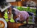 Spill Jigsaw Puzzle Horses Edition