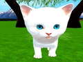 Spill Cutie cat