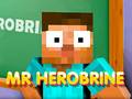 Spill Mr Herobrine