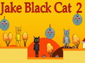 Spill Jake Black Cat 2