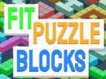 Spill Fit Puzzle Blocks