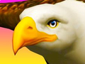 Spill Eagle Ride