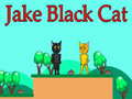 Spill Jake Black Cat