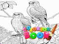 Spill Coloring Book for Adults