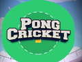 Spill Pong Cricket