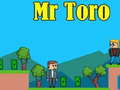 Spill Mr Toro