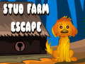 Spill Stud Farm Escape