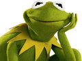 Spill Coloring Book For Kermit the Frog 