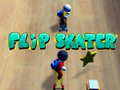 Spill Flip Skater
