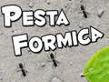 Spill Pesta Formica