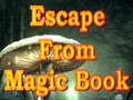 Spill Escape From Magic Book