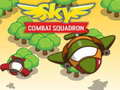 Spill Sky Combat Squardom