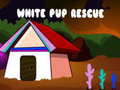 Spill White Pup Rescue 